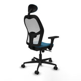 V7HB8F8984426D75017023CDAF87693437CR6565717P6