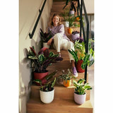 V5H3875A8E0D92064C991B074A9834B02CER5780298P4