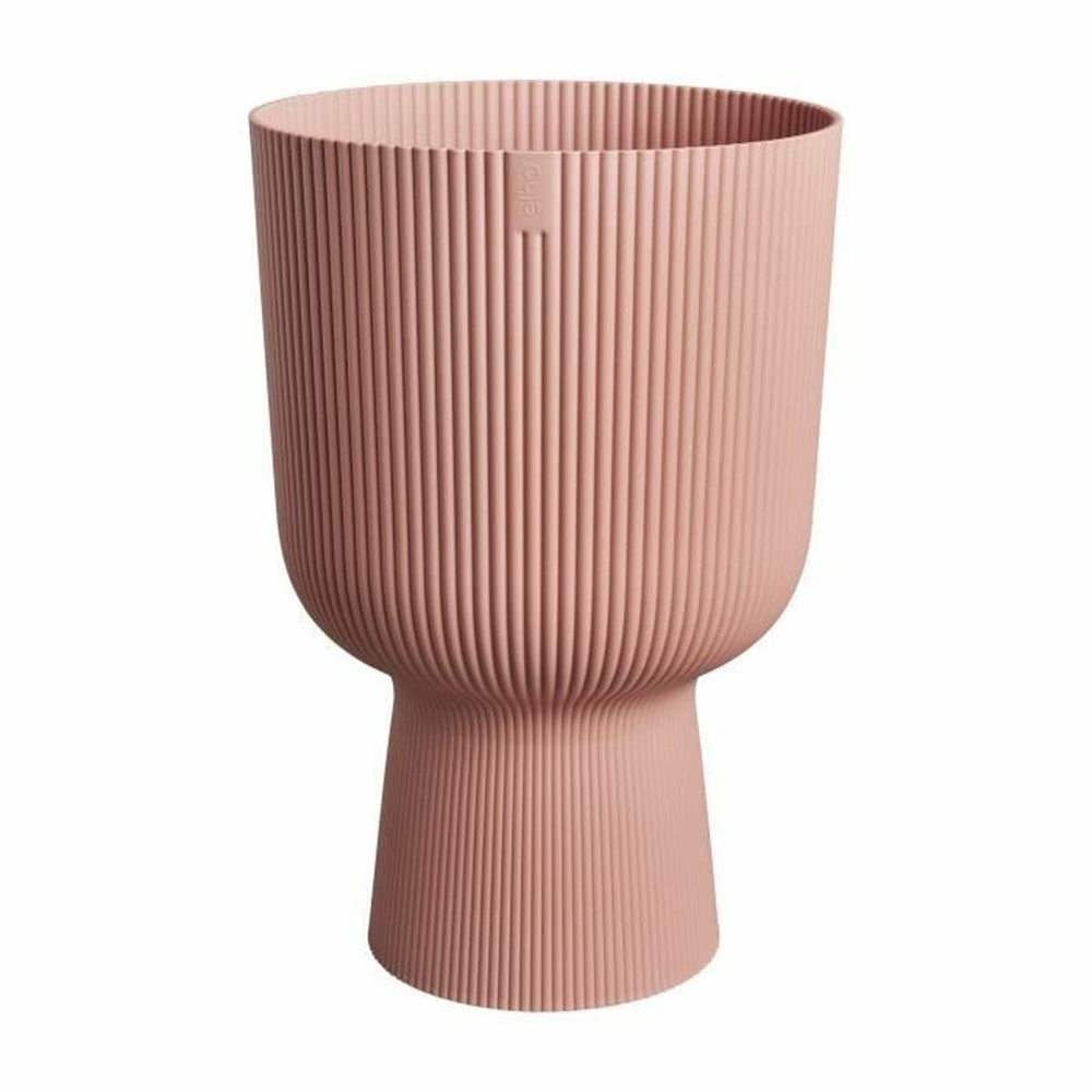 Vaso Elho
