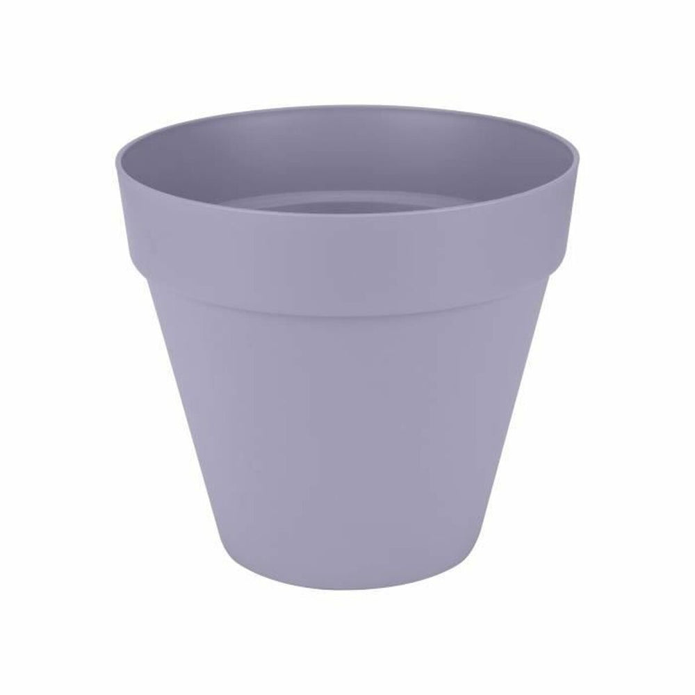 Vaso Elho