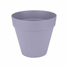 Vaso Elho