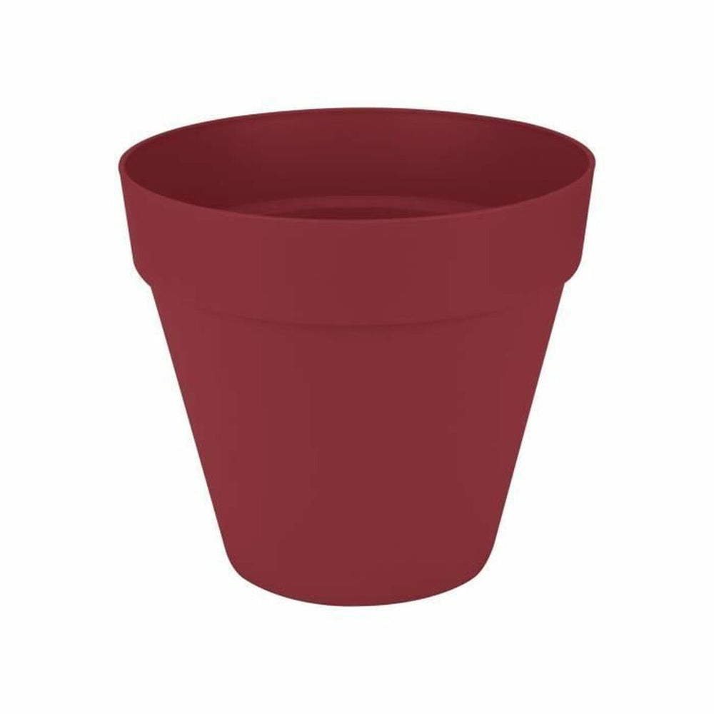 Vaso Elho