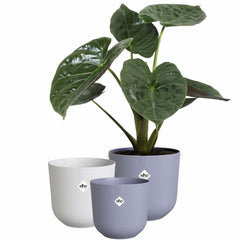Vaso Elho Jazz Bianco Lilla Plastica Rotondo 3 Pezzi