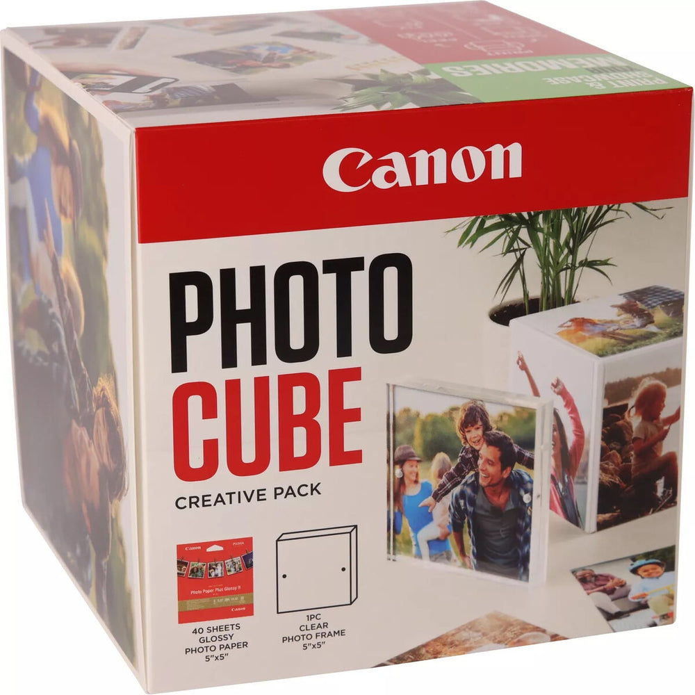 Videocamera di Sorveglianza Canon PP-201