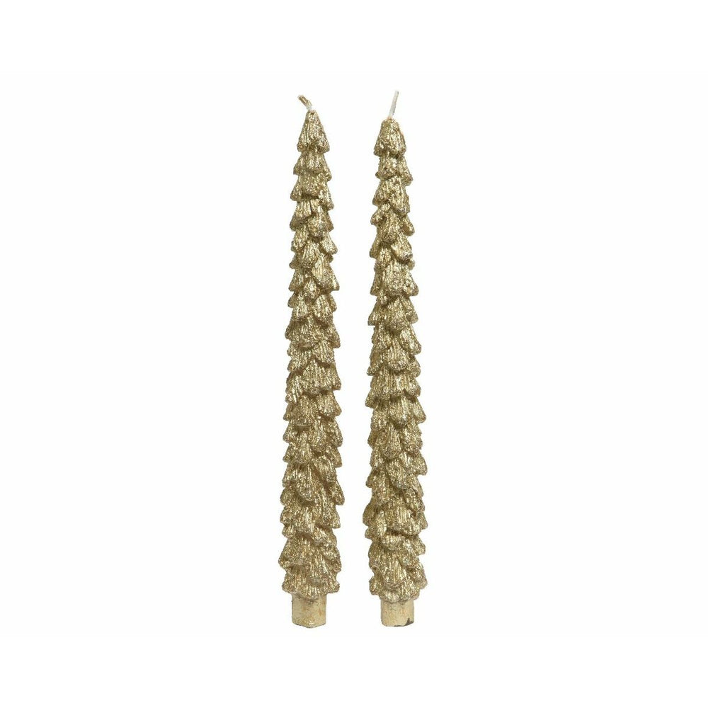 Velas Lifetime Pino
