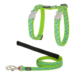 Pettorina per gatti Red Dingo Style Turchese Stella Cinghia