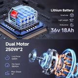 Scooter elettrico a 4 ruote con doppio motore da 500 W, batteria al litio da 36 V 18 Ah, leggero, pieghevole, autonomia di 50 km.
