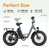 URLIFE E20 PRO E-Bike 1500W Fat Bike 7 Velocità 48V