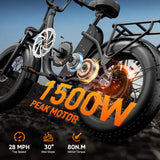 URLIFE E20 PRO E-Bike 1500W Fat Bike 7 Velocità 48V