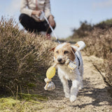Pettorina Regolabile per Cani Antistrappo e Riflettente