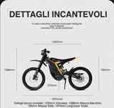 79BIKE Falcon Pro Moto elettrica