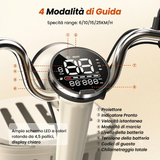 Monopattino elettrico Y16 City Grocery da 1200 W, 48 V, 20 Ah