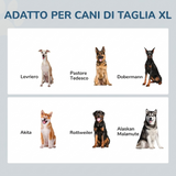 Ciotola rialzata per cani, con 2 ciotole in acciaio inox, supporto rialzato per una postura e una digestione migliori