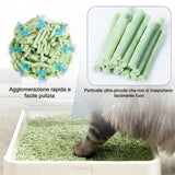 Lettiera per Gatti al Tofu 2kg - Biodegradabile e Smaltibile