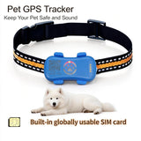 Localizzatore GPS per animali domestici (cani e gatti) con SIM IoT integrata