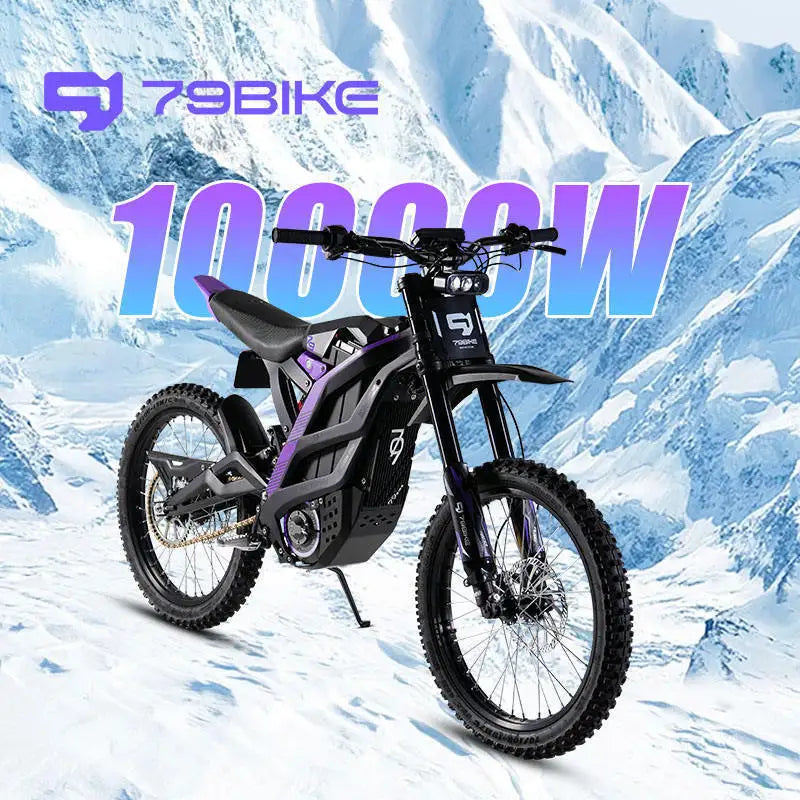 79BIKE Falcon Pro Moto elettrica
