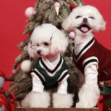 Maglione in 100% Cotone per Cani e Gatti