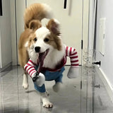 Costume di Halloween con Accessorio per Cani e Gatti