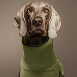 Cappotto Invernale Ergonomico per Cani