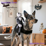 Costume da Fantino per Cani e Gatti