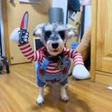 Costume di Halloween con Accessorio per Cani e Gatti