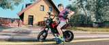 iScooter A14 Moto da cross elettrica per bambini 500W 5.2Ah Moto elettrica