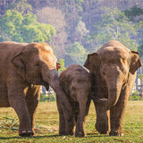 V7HCC8A535919F01AE8519472FAF816D253R5408334P5