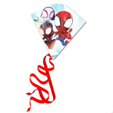 V8HD2C2522D709007FF7F8C8E976DBE4304R5711637P3