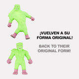 V5H1CA71ECC795848FF2701252B49CADF6BR5746353P4