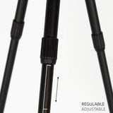 V3H1D0DBBEAE71A533ECE2E1F274C2C46A8R5649350P4