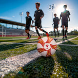 V2H06AFE4FA624254422941E7DA8CD93F91R7516226P7