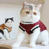 Maglione in 100% Cotone per Cani e Gatti