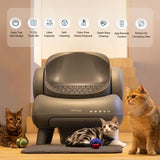 Neakasa M1: Lettiera Automatica Smart per Gatti
