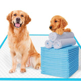 Tappetini pannolini da terra per animali domestici 100/200 pezzi 60*60 cm/60*90 cm