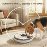 Distributore automatico di cibo per cani e gatti con timer e display a LED, da 1 a 6 pasti al giorno, per cibo secco e umido,
