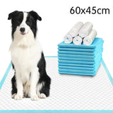 Tappetini pannolini da terra per animali domestici 100/200 pezzi 60*60 cm/60*90 cm