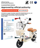 Monopattino elettrico Y16 City Grocery da 1200 W, 48 V, 20 Ah