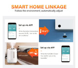 Sensore di temperatura e umidità Tuya Smart WIFI