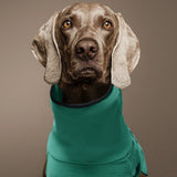 Cappotto Invernale Ergonomico per Cani