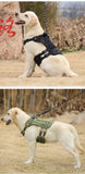 Gilet Tattico Impermeabile per Cani Medi e Grandi