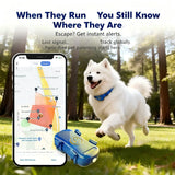 Localizzatore GPS per animali domestici (cani e gatti) con SIM IoT integrata