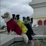 Impermeabile Riflettente per Cani SDYY001