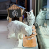 Set 3 Ciotole Rialzate per Cani e Gatti con Supporto in Legno