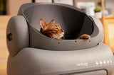 Neakasa M1: Lettiera Automatica Smart per Gatti
