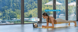 ieGeek Videocitofono wireless con suoneria, videocamera per campanello HD 2K