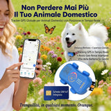 Localizzatore GPS per animali domestici (cani e gatti) con SIM IoT integrata